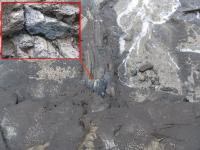 Albums/20060200-New Zealand 2006/20060313-Catlins/30